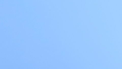 El presidente Trump afirma que más hispanos lo respaldan.