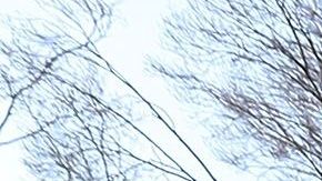 El pasado viernes fue el primer día que los trabajadores federales afectados no cobraron su cheque salarial, por lo que se espera que los problemas sean aún mayores a partir de este momento.