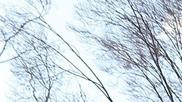 El pasado viernes fue el primer día que los trabajadores federales afectados no cobraron su cheque salarial, por lo que se espera que los problemas sean aún mayores a partir de este momento.