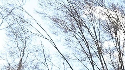 Trabajadores federales se concentraron hoy enfrente de la Casa Blanca para pedir a Trump que reabra la Administración.