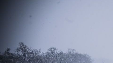 La tormenta llegó a Washington.
