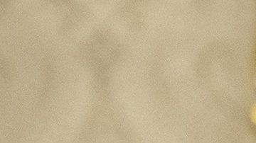 Trump sigue empeñado de conseguir su muro fronterizo cueste lo que cueste