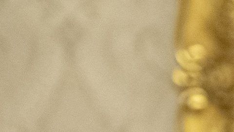 Trump sigue empeñado de conseguir su muro fronterizo cueste lo que cueste