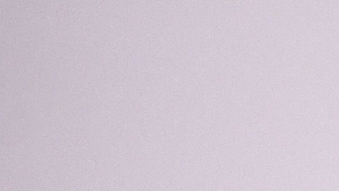 Les guste o no está haciendo historia por mucha razones, pero la principal es que será la primera indígena oaxaqueña que aspira a un premio de la Academia.