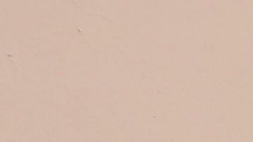 Maduro y Cabello frente a sus simpatizantes.