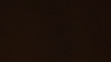 La presidenta de la Cámara de Representantes, Nancy Pelosi, solicitó al presidente estadounidense, Donald Trump, que aplace el tradicional discurso sobre el Estado de la Unión.