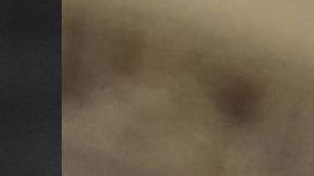 Demócratas le piden a Shultz que no se lance como independiente