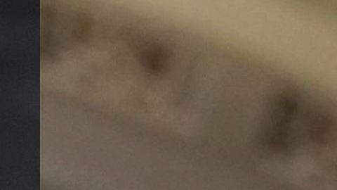 Demócratas le piden a Shultz que no se lance como independiente