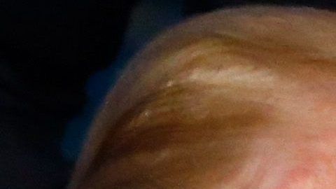 Trump y Melania podrían llevarse el premio a peores actores del año