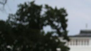 Protesta por expansión del Social Security.