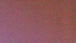 Will y Jada Pinkett Smith.