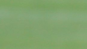 Carlos Tevez afirma que cuando era técnico de Boca Juniors Guillermo Barros Schelotto le faltó al respeto.