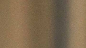 Stone fue acusado por un gran jurado de cinco delitos