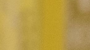 El presidente presiona al Congreso por $5,700 millones de dólares para el muro fronterizo.