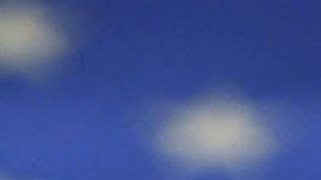 El Departamento de Defensa confirmó el plan del gobierno