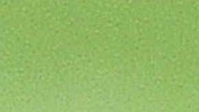 La Primera Dama vuelve a ser foco de críticas.