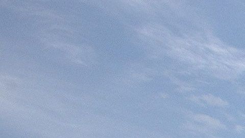 El progama DACA continúa en operación.