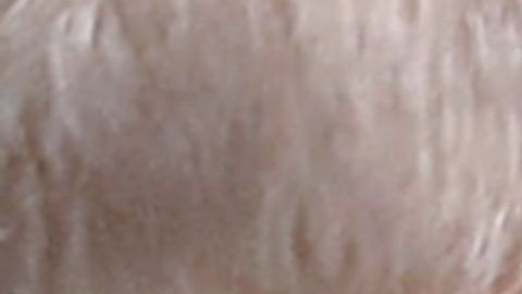 El presidente estalló furioso cuando le preguntaron si era un agente ruso