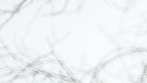 Este fin de semana, Trump propuso dar tres años más de protección para los jóvenes con DACA y personas con Estatus de Protección Temporal (TPS), a cambio de fondos para construir un muro en la frontera con México.