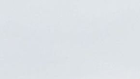 Trump no da su brazo a torcer en la construcción del muro fronterizo.