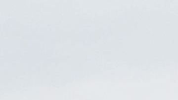 Trump no da su brazo a torcer en la construcción del muro fronterizo