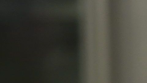 Balarezo (izquierda) junto a la esposa de "El Chapo", Emma Coronel, hablan con la prensa.