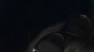 Zinedine Zidane y su esposa Véronique.