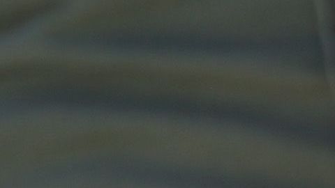 Un niño y un padre son detenidos por agentes de la Patrulla Fronteriza cerca de la frontera.