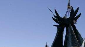 Atún rojo pescado en Baja California, México.