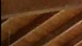 Bruce McArthur, el "Jardinero asesino"