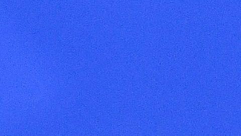 Javier "Chicharito" Hernández es pretendido por el Valencia y el AS Monaco