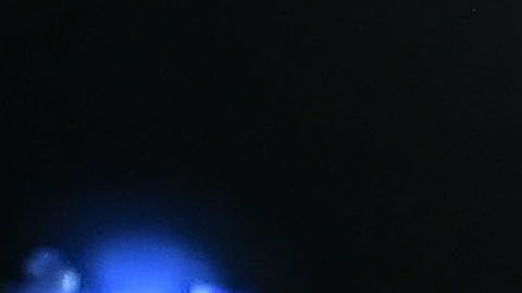 Saúl "Canelo" Álvarez enfrentará al estadounidense Daniel Jacobs el próximo 4 de mayo