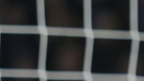 Hirving Lozano es pretendido por el Chelsea, AC Milan y Nápoli