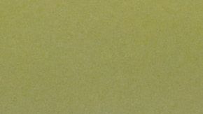 Un tlacuache se infiltró en la cancha del estadio Luis "Pirata" fuente, durante el juego entre Veracruz y Puebla