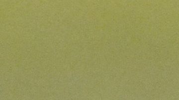 Un tlacuache se infiltró en la cancha del estadio Luis "Pirata" fuente, durante el juego entre Veracruz y Puebla