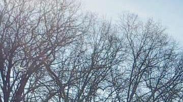 Venezolanos protestaron esta fría mañana en la ONU