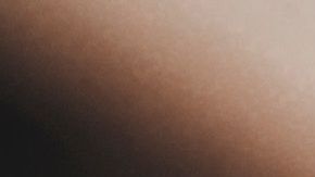 Los monos rhesus son portadores de herpes B.