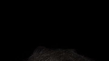 Serie "Jugar con fuego"