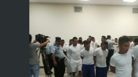 Las penas impuestas oscilan entre los dos años ocho meses a los 300 años.