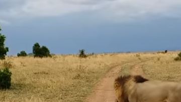 Por eso jamás debes perturbar el sueño de nadie.