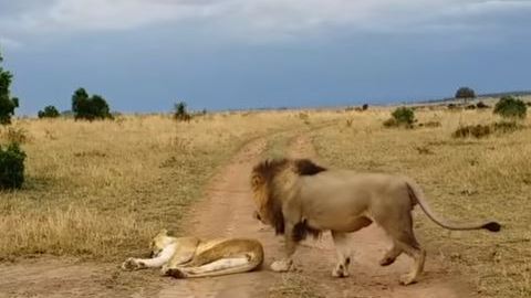 Por eso jamás debes perturbar el sueño de nadie.