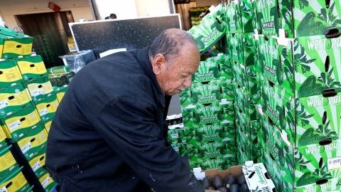 locales_305049941_ep_-1_0