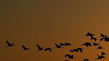 El amor y la astrología.