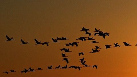 El amor y la astrología.