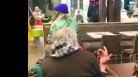 El mapache sobre la mesa.