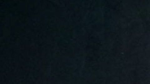 Mariana Garza y Pablo Perroni