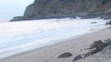 L:os paquetes con marihuana quedaron esparcidos en la playa.