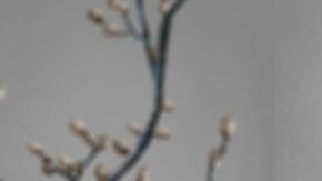 Te presentamos cuatro consejos par que tu propósito de ahorrar no interfiera con el de mantenerte saludable.