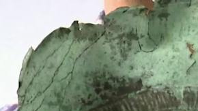 La pieza recuperada del fondo del mar.