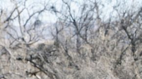 Inmigrantes cruzando la frontera entre México y EEUU.